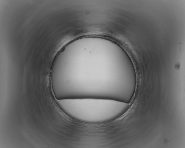 X0000097591409200802290739