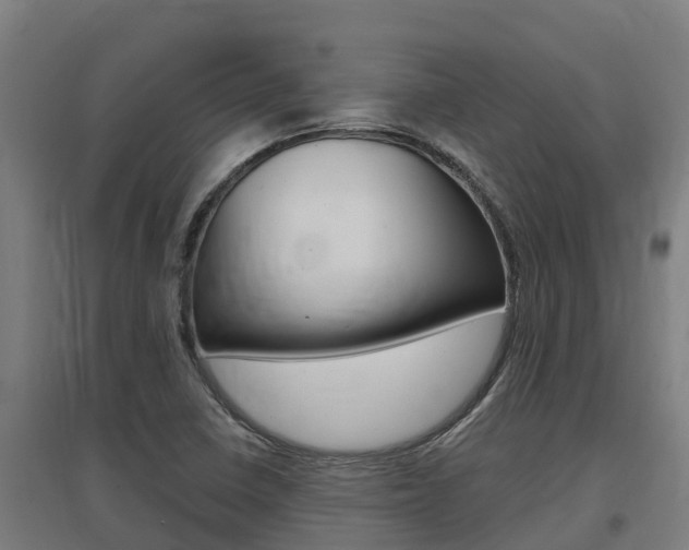 X0000097591410200802290739