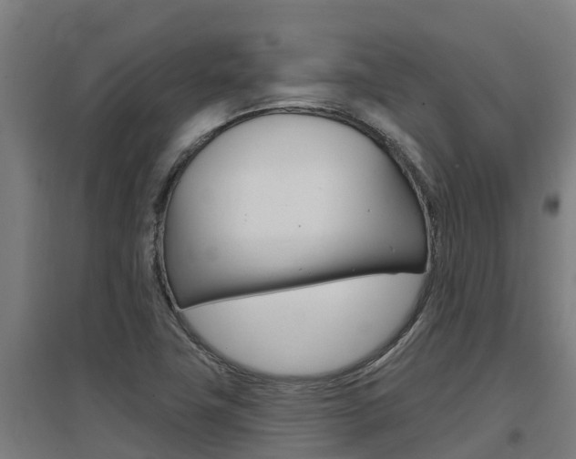 X0000097591411200802290739