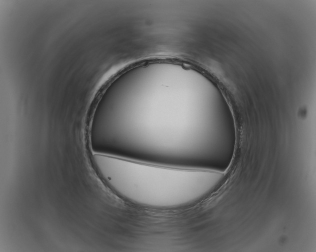 X0000097591412200802290739