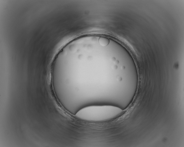 X0000097591413200802290739
