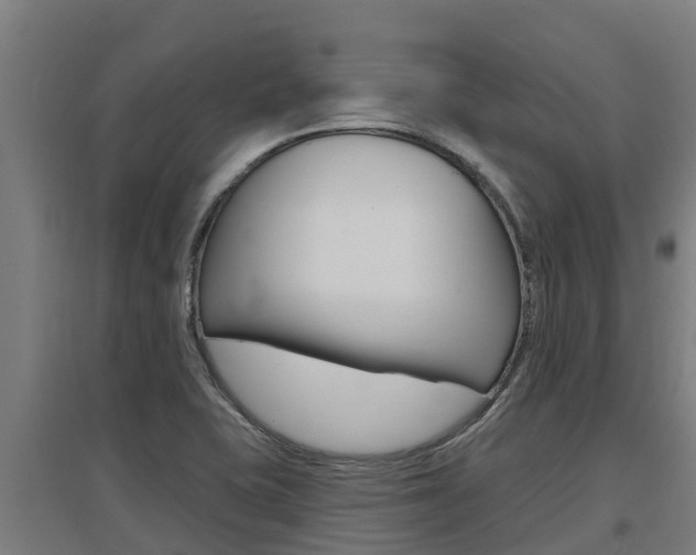 X0000097591415200802290739