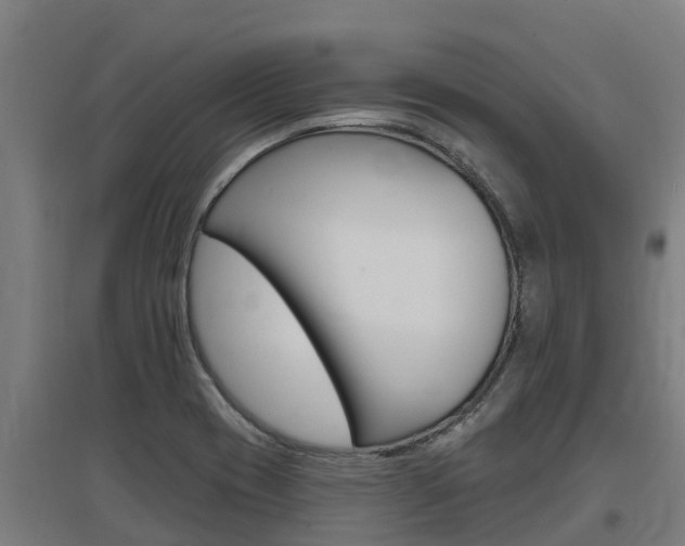 X0000097591417200802290739