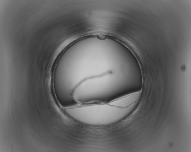 X0000097591418200802290739