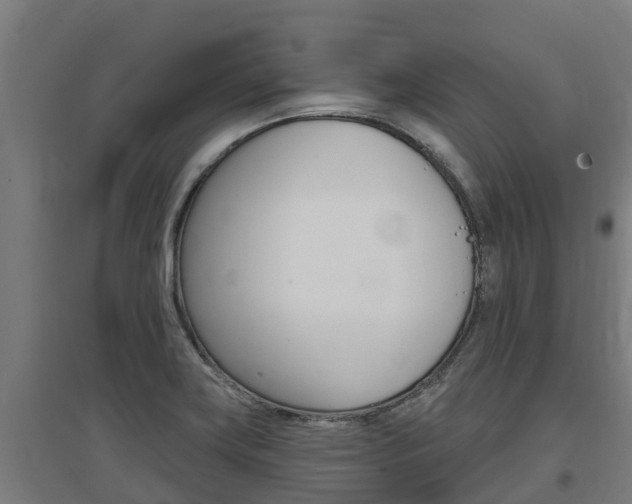 X0000097591419200802290739