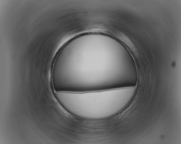 X0000097591420200802290739