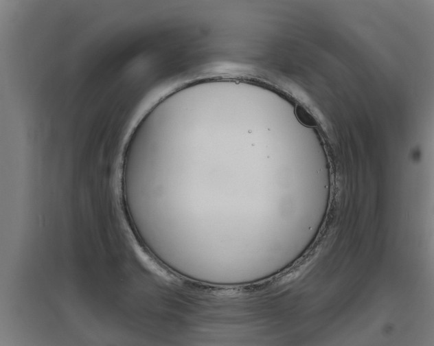 X0000097591421200802290739