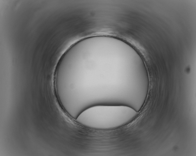 X0000097591423200802290739