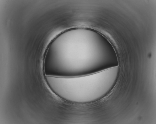 X0000097591424200802290739