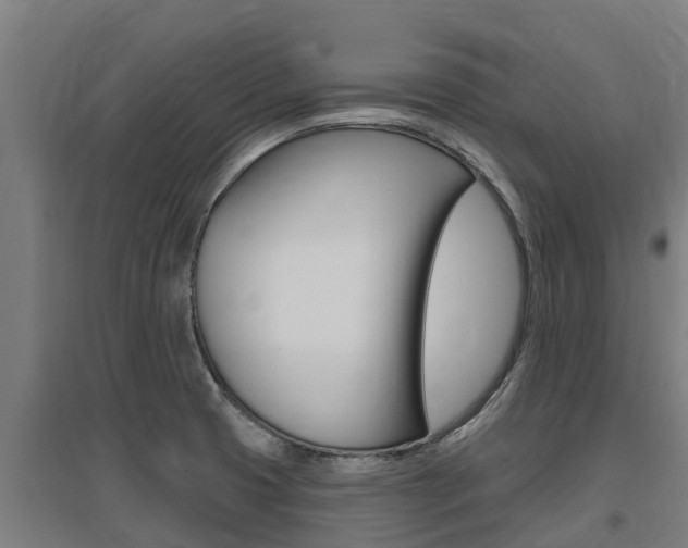 X0000097591425200802290739
