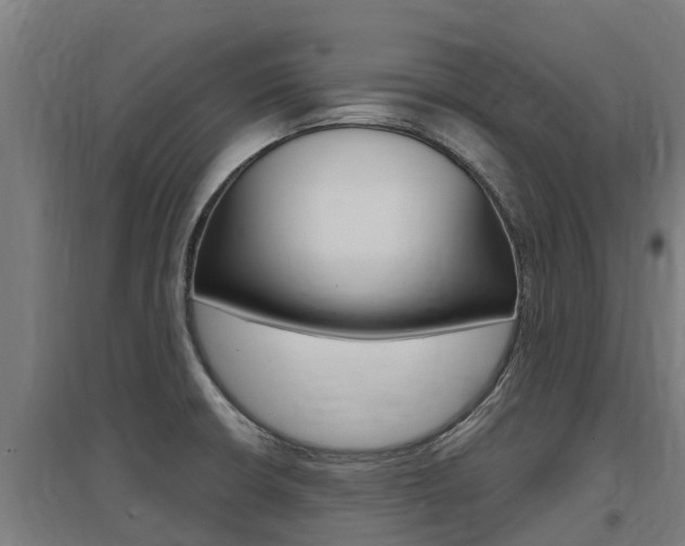 X0000097591426200802290739
