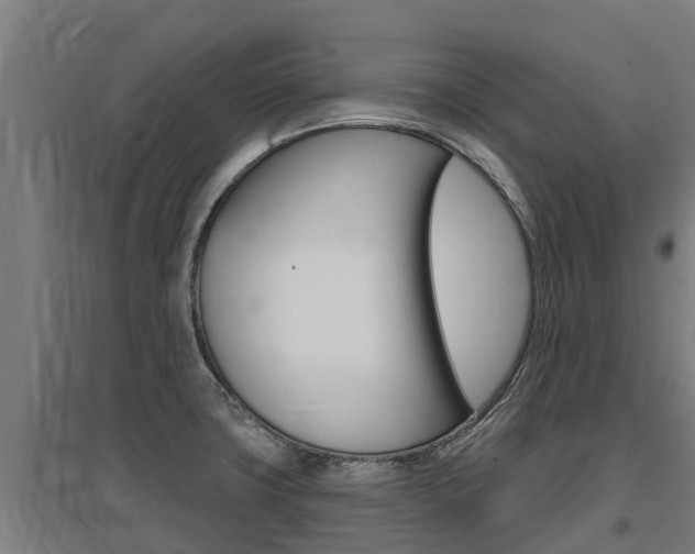 X0000097591427200802290739