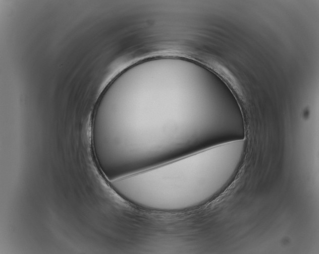 X0000097591428200802290739