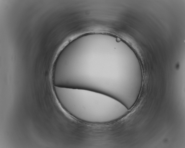 X0000097591429200802290739