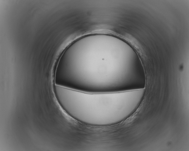 X0000097591430200802290739
