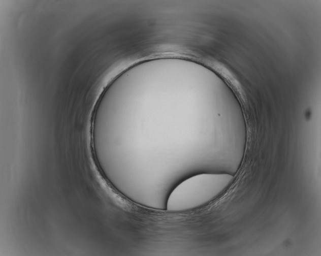 X0000097591431200802290739