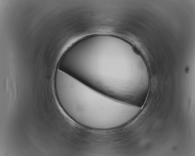 X0000097591432200802290739