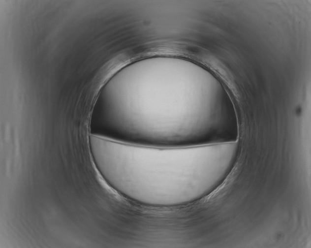 X0000097591433200802290739