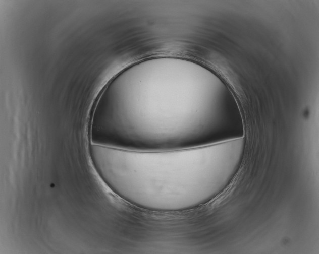 X0000097591434200802290739