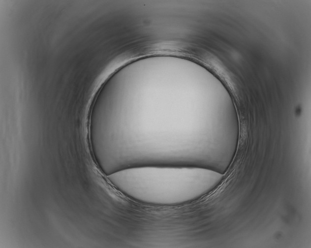 X0000097591435200802290739