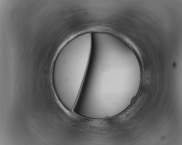 X0000097591437200802290739