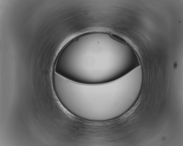 X0000097591438200802290739