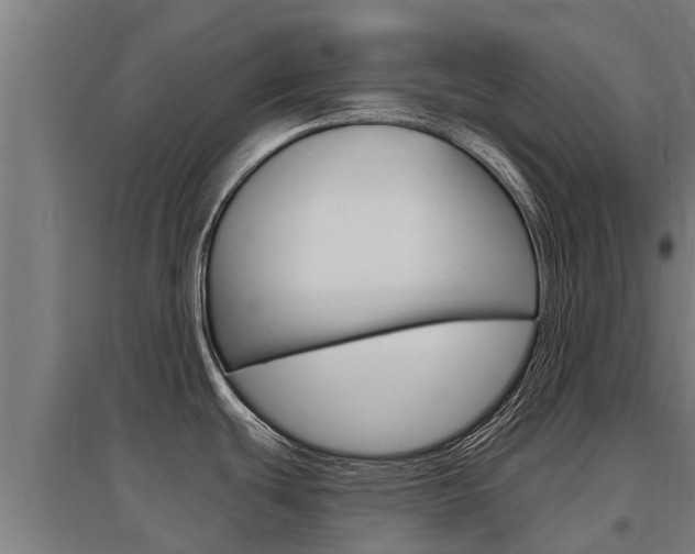 X0000097591439200802290739