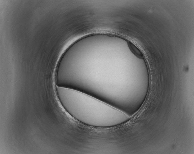 X0000097591440200802290739