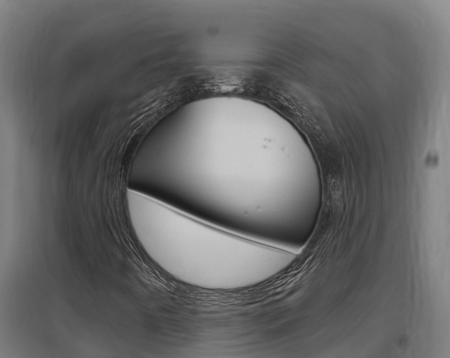 X0000097591442200802290739