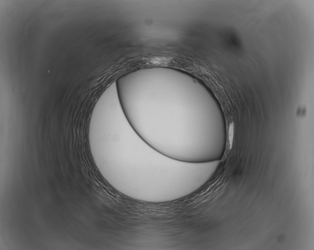 X0000097591443200802290739