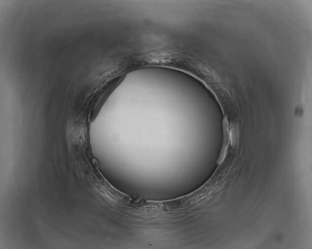 X0000097591444200802290739