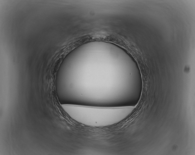 X0000097591445200802290739