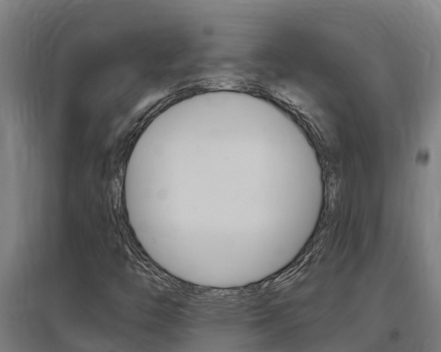 X0000097591446200802290739