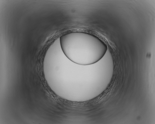 X0000097591447200802290739