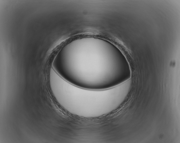 X0000097591448200802290739