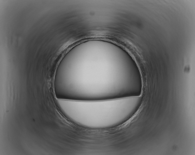 X0000097591449200802290739