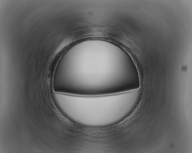 X0000097591450200802290739