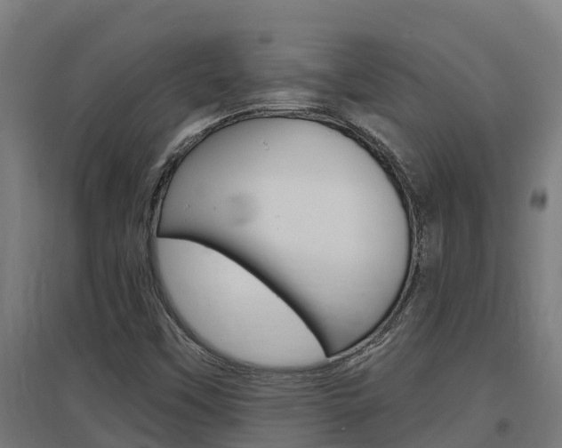 X0000097591451200802290739