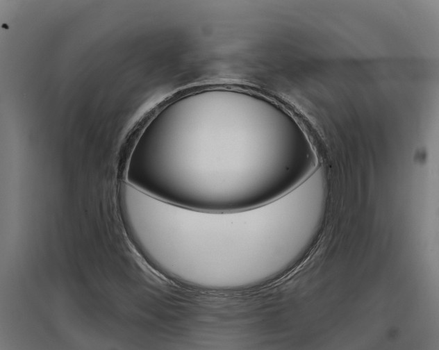 X0000097591452200802290739