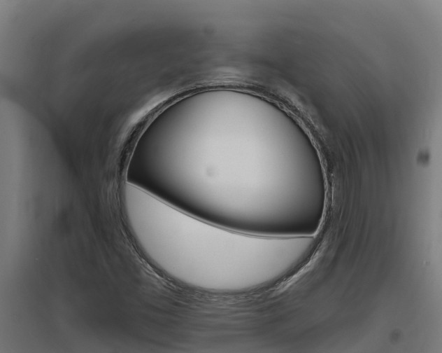 X0000097591453200802290739