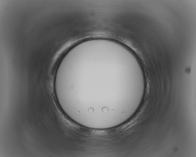 X0000097591454200802290739