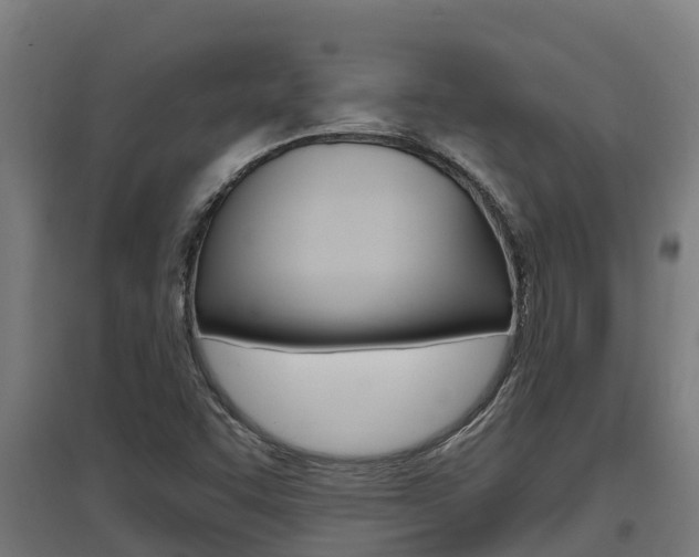 X0000097591455200802290739