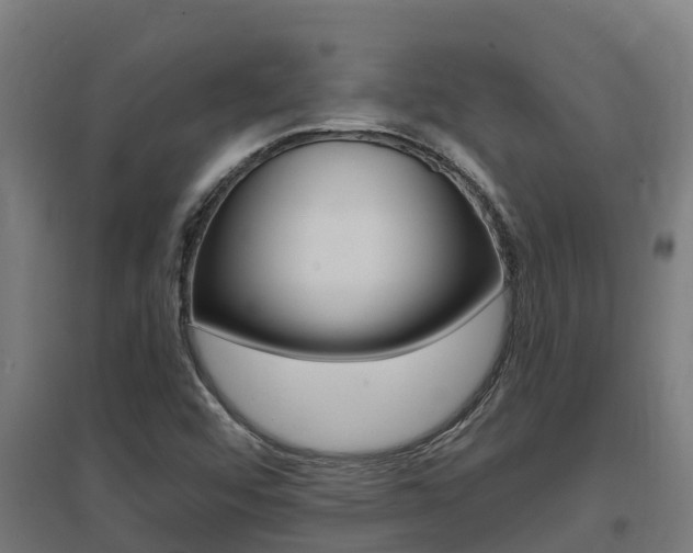 X0000097591456200802290739