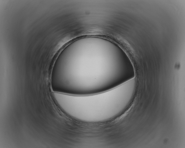X0000097591457200802290739