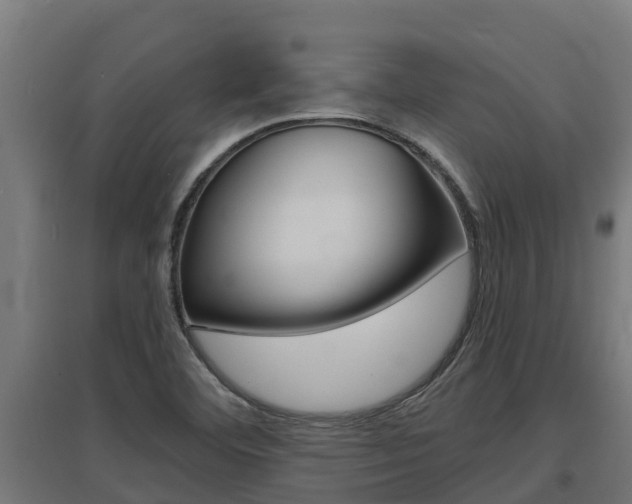 X0000097591460200802290739