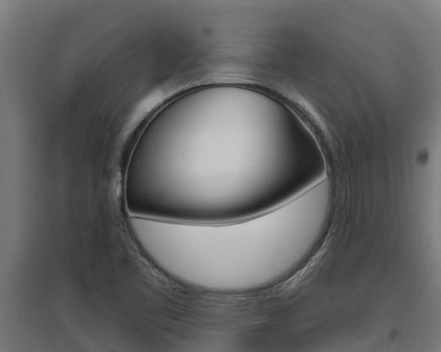 X0000097591461200802290739