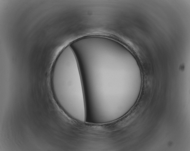 X0000097591463200802290739