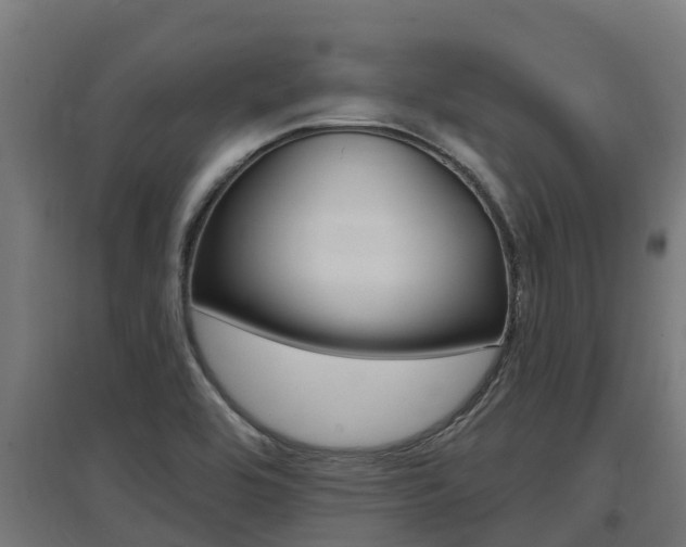 X0000097591464200802290738