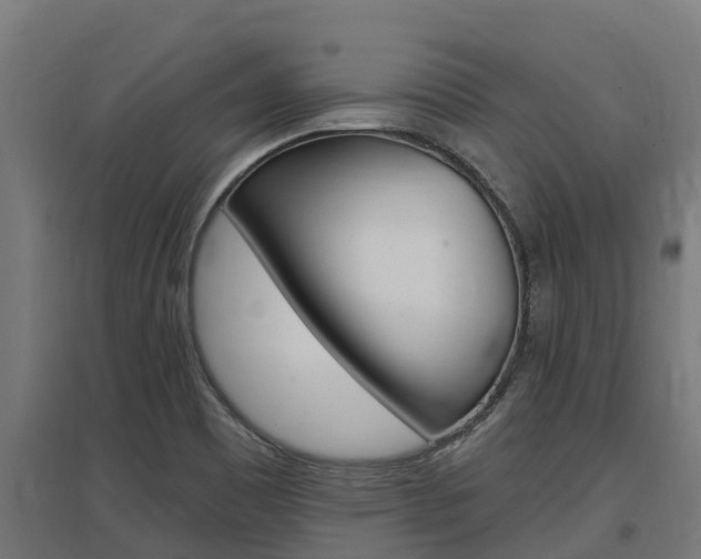 X0000097591465200802290738