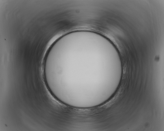 X0000097591466200802290738